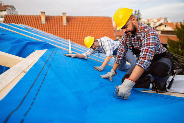 Best New Roof Installation  in Rockwood, MI