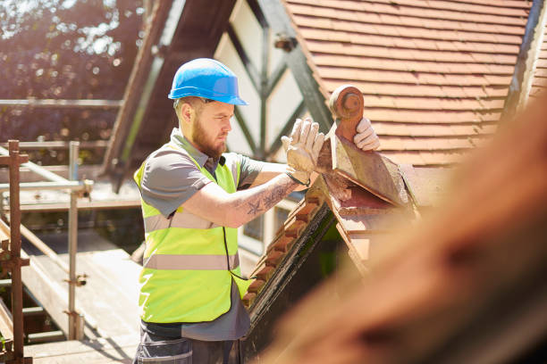 Professional Roofing Contractor in Rockwood, MI