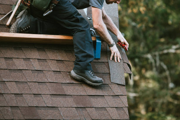 Best Roof Repair Services  in Rockwood, MI